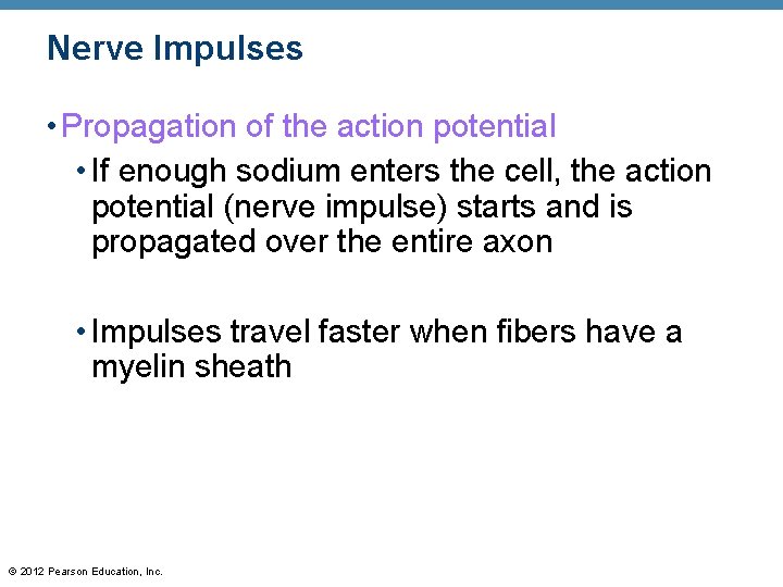 Nerve Impulses • Propagation of the action potential • If enough sodium enters the