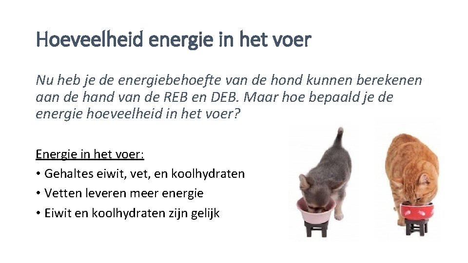 Hoeveelheid energie in het voer Nu heb je de energiebehoefte van de hond kunnen