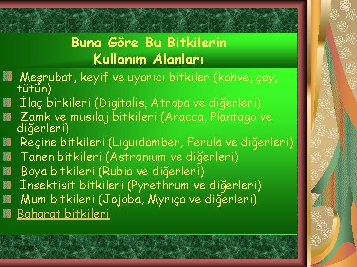 Buna Göre Bu Bitkilerin Kullanım Alanları Meşrubat, keyif ve uyarıcı bitkiler (kahve, çay, tütün)