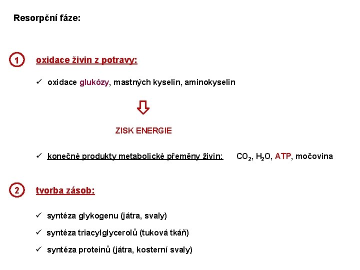Resorpční fáze: 1 oxidace živin z potravy: ü oxidace glukózy, mastných kyselin, aminokyselin ZISK