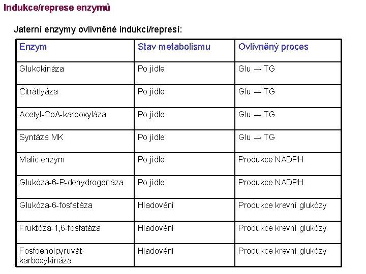 Indukce/represe enzymů Jaterní enzymy ovlivněné indukcí/represí: Enzym Stav metabolismu Ovlivněný proces Glukokináza Po jídle