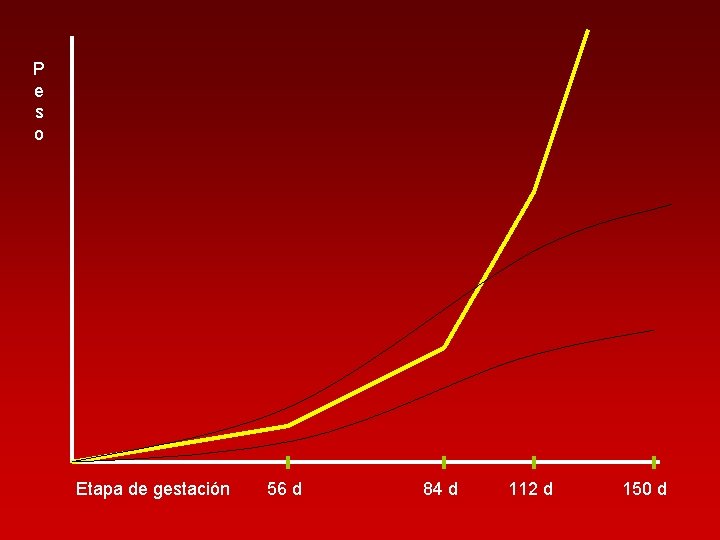 P e s o Etapa de gestación 56 d 84 d 112 d 150