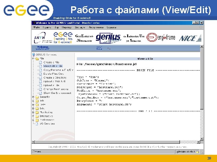 Работа с файлами (View/Edit) Enabling Grids for E-scienc. E 39 