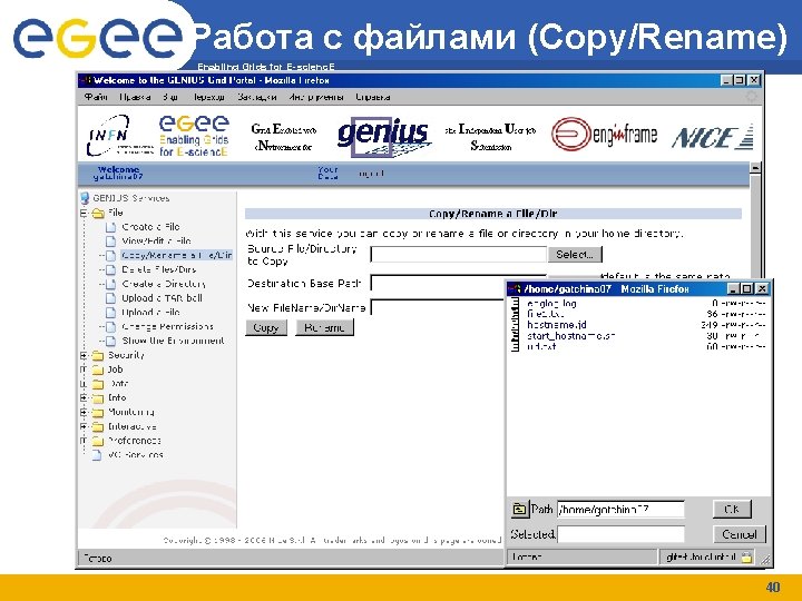 Работа с файлами (Copy/Rename) Enabling Grids for E-scienc. E 40 