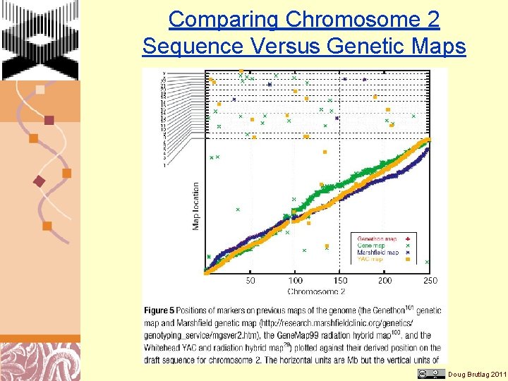 Comparing Chromosome 2 Sequence Versus Genetic Maps Doug Brutlag 2011 