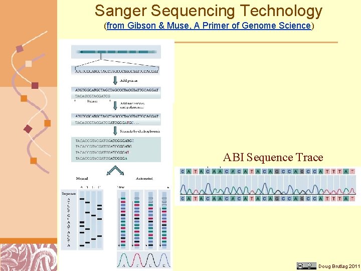 Sanger Sequencing Technology (from Gibson & Muse, A Primer of Genome Science) ABI Sequence