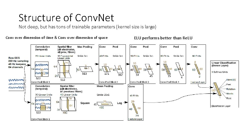 Structure of Conv. Net Not deep, but has tons of trainable parameters (kernel size