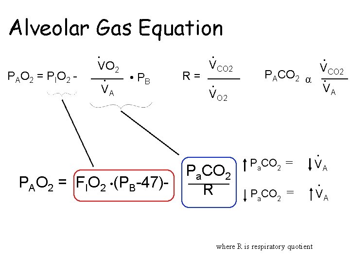 Alveolar Gas Equation • P AO 2 = P IO 2 - VO 2