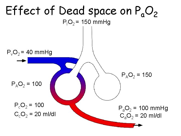 Effect of Dead space on Pa. O 2 PIO 2 = 150 mm. Hg