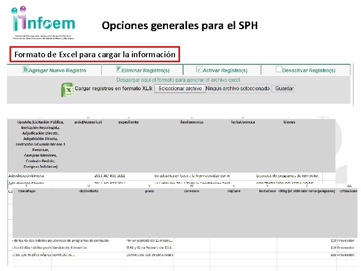 Opciones generales para el SPH Formato de Excel para cargar la información 