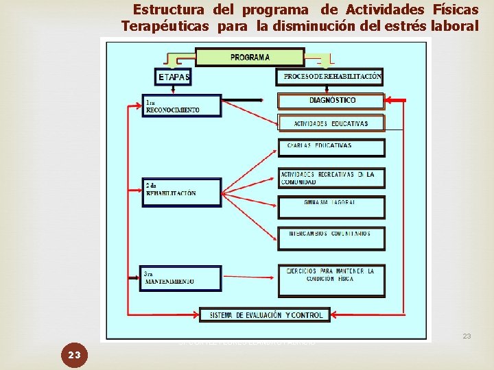 Estructura del programa de Actividades Físicas Terapéuticas para la disminución del estrés laboral 03/11/2020