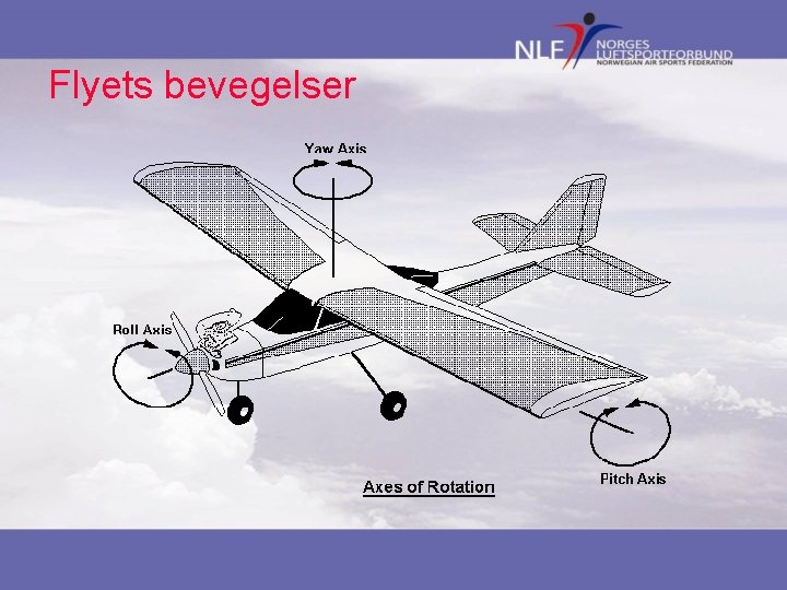 Flyets bevegelser 