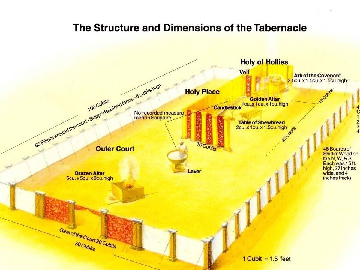 Structure and Dimensions 