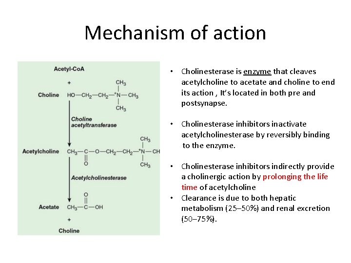 Mechanism of action • Cholinesterase is enzyme that cleaves acetylcholine to acetate and choline