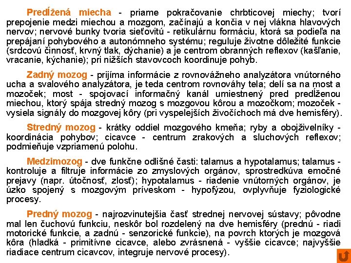 Predĺžená miecha - priame pokračovanie chrbticovej miechy; tvorí prepojenie medzi miechou a mozgom, začínajú