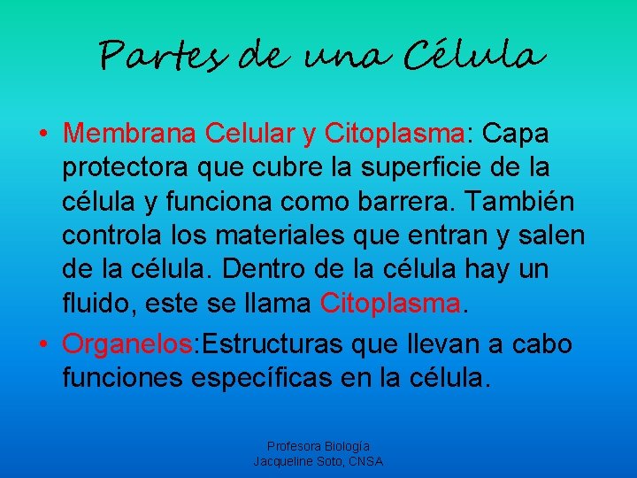 Partes de una Célula • Membrana Celular y Citoplasma: Capa protectora que cubre la