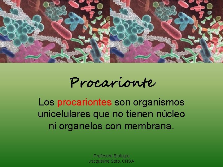 Procarionte Los procariontes son organismos unicelulares que no tienen núcleo ni organelos con membrana.