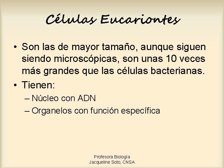 Células Eucariontes • Son las de mayor tamaño, aunque siguen siendo microscópicas, son unas