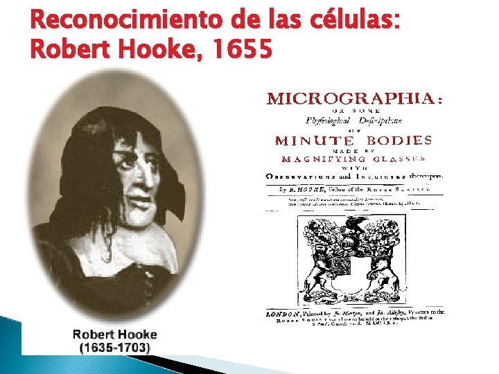 Reconocimiento de las células: Robert Hooke, 1655 
