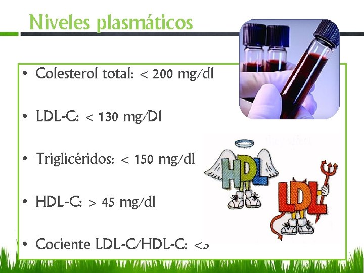 Niveles plasmáticos • Colesterol total: < 200 mg/dl • LDL-C: < 130 mg/Dl •