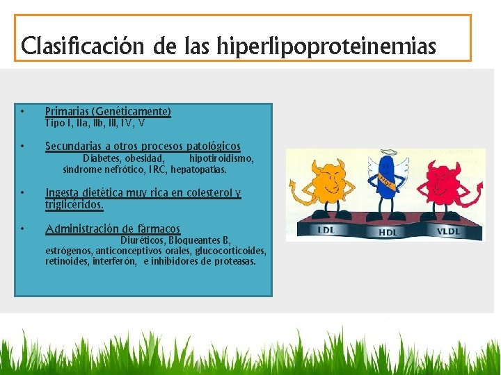 Clasificación de las hiperlipoproteinemias • Primarias (Genéticamente) Tipo I, IIa, llb, lll, IV, V