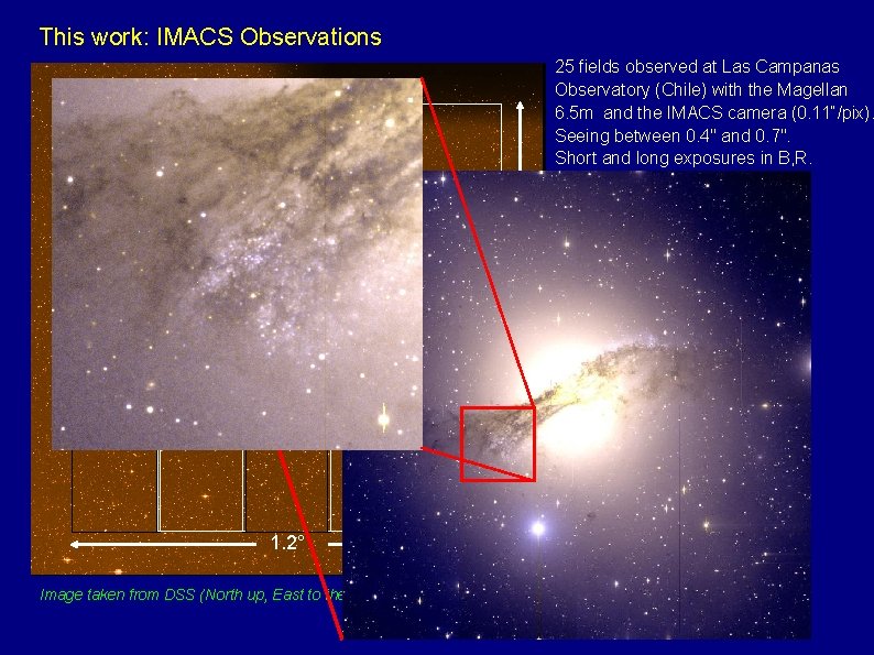 This work: IMACS Observations 25 fields observed at Las Campanas Observatory (Chile) with the