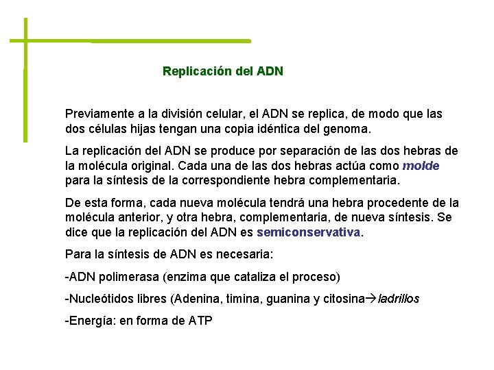 Replicación del ADN Previamente a la división celular, el ADN se replica, de modo