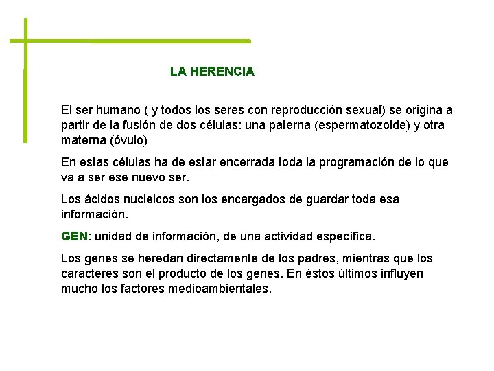 LA HERENCIA El ser humano ( y todos los seres con reproducción sexual) se