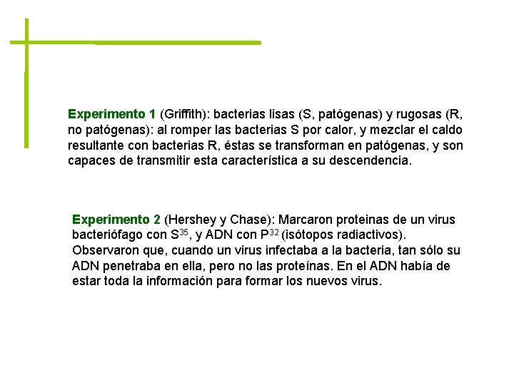 Experimento 1 (Griffith): bacterias lisas (S, patógenas) y rugosas (R, no patógenas): al romper