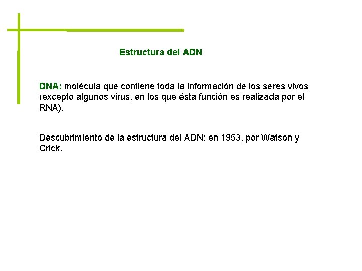 Estructura del ADN DNA: molécula que contiene toda la información de los seres vivos