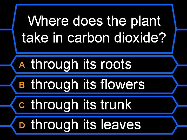 Where does the plant take in carbon dioxide? A B C D through its