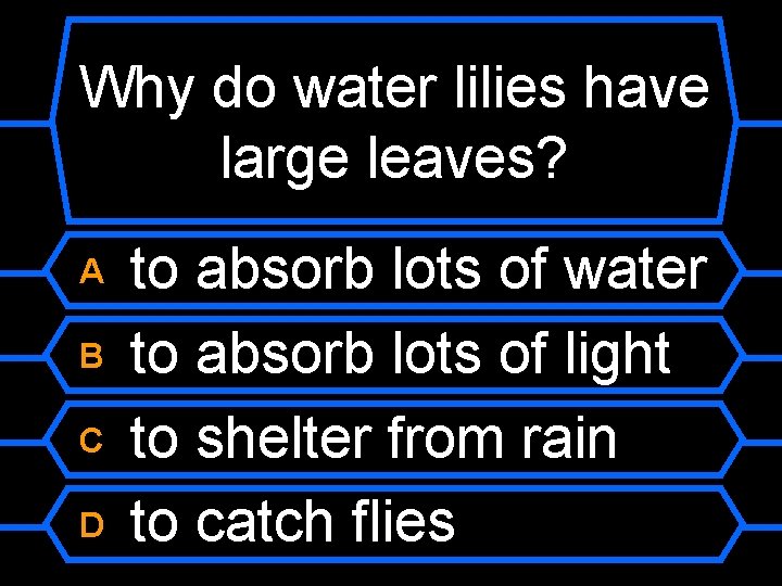 Why do water lilies have large leaves? A B C D to absorb lots