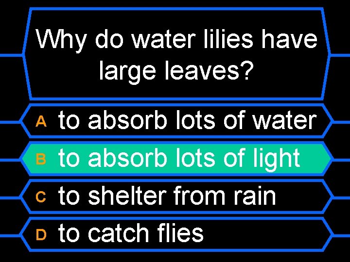 Why do water lilies have large leaves? A B C D to absorb lots