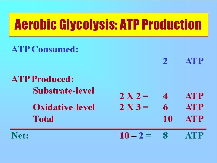 Aerobic Glycolysis: ATP Production ATP Consumed: ATP Produced: Substrate-level Oxidative-level Total Net: 2 ATP