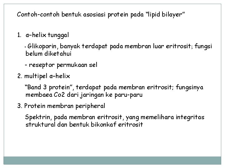 Contoh-contoh bentuk asosiasi protein pada “lipid bilayer” 1. α–helix tunggal - Glikoporin, banyak terdapat