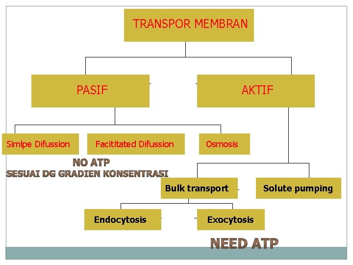 TRANSPOR MEMBRAN PASIF Simlpe Difussion AKTIF Facititated Difussion Osmosis Bulk transport Endocytosis Exocytosis Solute