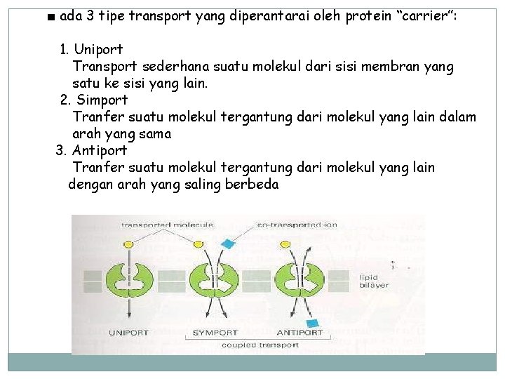 ■ ada 3 tipe transport yang diperantarai oleh protein “carrier”: 1. Uniport Transport sederhana