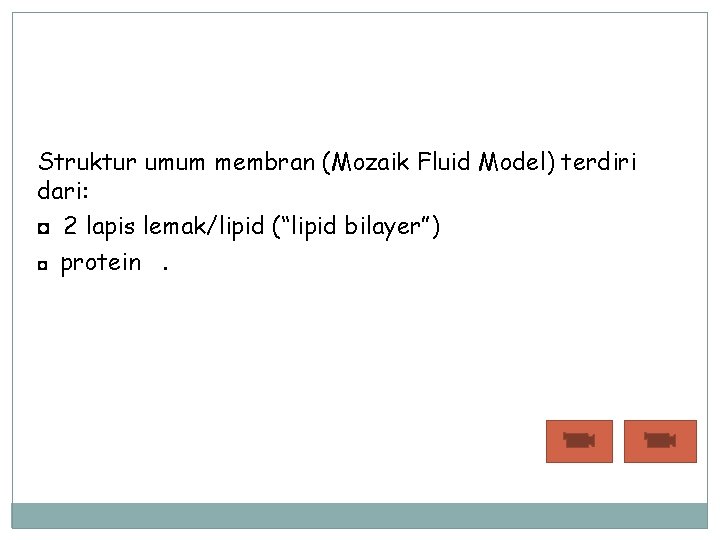 Struktur umum membran (Mozaik Fluid Model) terdiri dari: ◘ 2 lapis lemak/lipid (“lipid bilayer”)