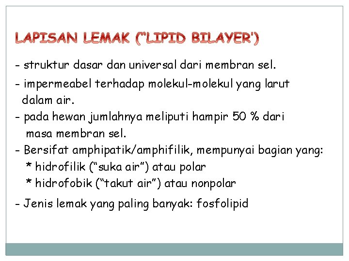 - struktur dasar dan universal dari membran sel. - impermeabel terhadap molekul-molekul yang larut