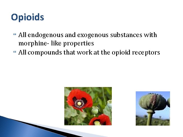 Opioids All endogenous and exogenous substances with morphine- like properties All compounds that work