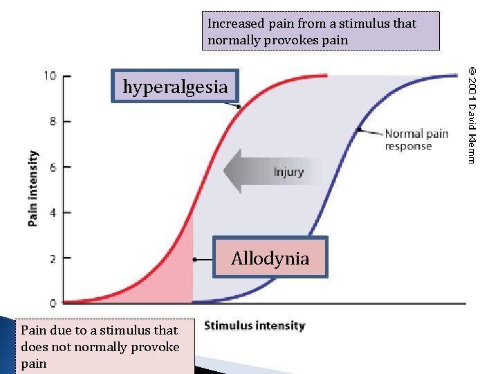 Increased pain from a stimulus that normally provokes pain hyperalgesia Allodynia Pain due to