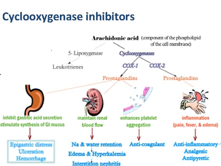 Cyclooxygenase inhibitors 