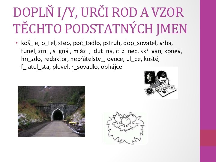 DOPLŇ I/Y, URČI ROD A VZOR TĚCHTO PODSTATNÝCH JMEN • koš_le, p_tel, step, poč_tadlo,