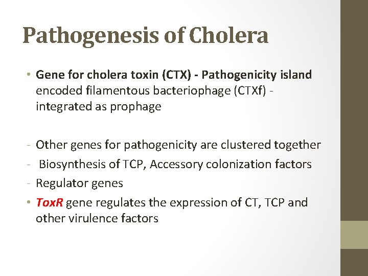 Pathogenesis of Cholera • Gene for cholera toxin (CTX) - Pathogenicity island encoded filamentous