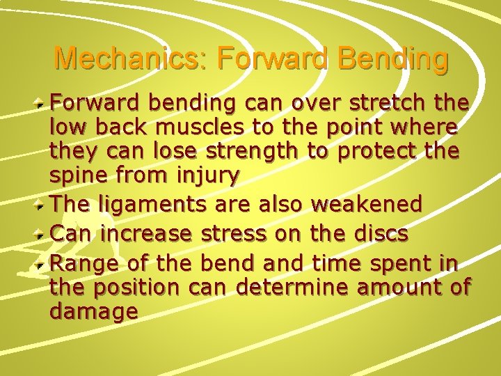 Mechanics: Forward Bending Forward bending can over stretch the low back muscles to the