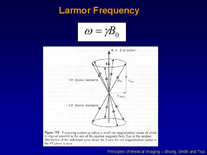 Larmor Frequency Principles of Medical Imaging – Shung, Smith and Tsui 