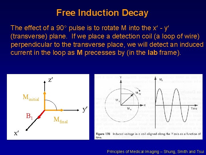 Free Induction Decay The effect of a 90 pulse is to rotate M into