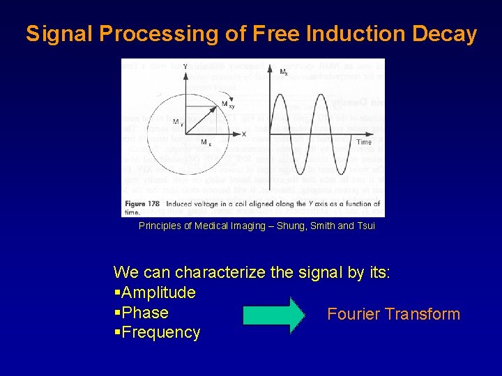 Signal Processing of Free Induction Decay Principles of Medical Imaging – Shung, Smith and