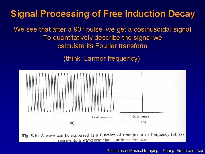 Signal Processing of Free Induction Decay We see that after a 90 pulse, we
