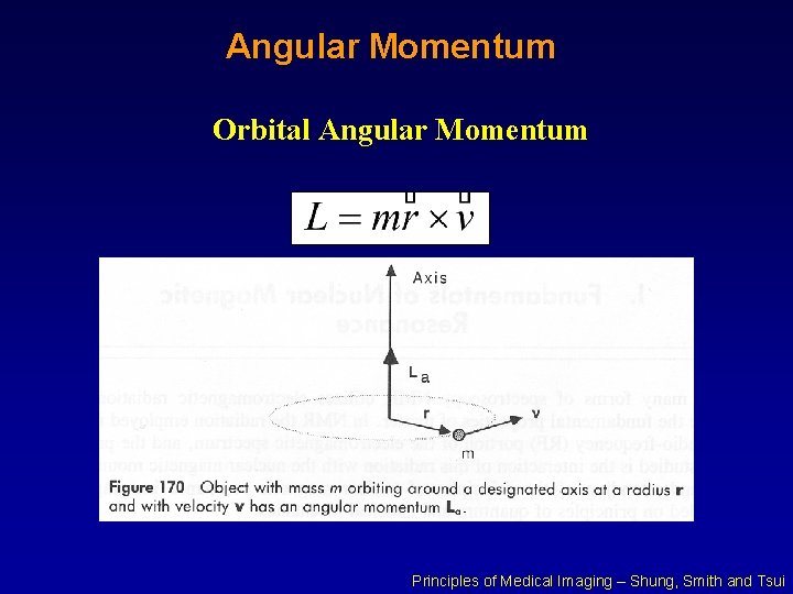 Angular Momentum Orbital Angular Momentum Principles of Medical Imaging – Shung, Smith and Tsui Angular Momentum Orbital Angular Momentum Principles of Medical Imaging – Shung, Smith and Tsui
